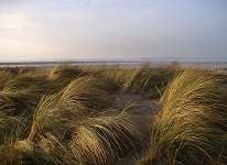 January 2010 – Walk along Spurn Peninsula by visitors from Worcestershire